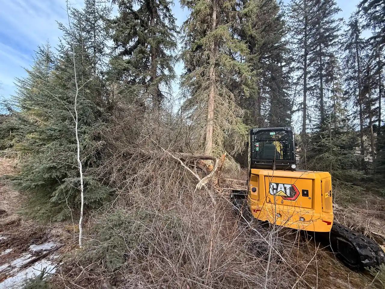 CAT 305 Next Gen excavator clearing fallen trees in the Cariboo