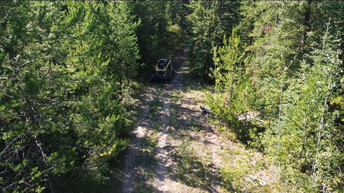 CAT 289D track loader clearing an access trail through timber