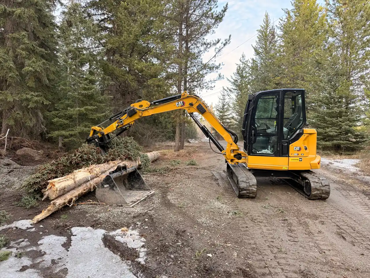 CAT 305 excavator clearing logs on a job site near Williams Lake