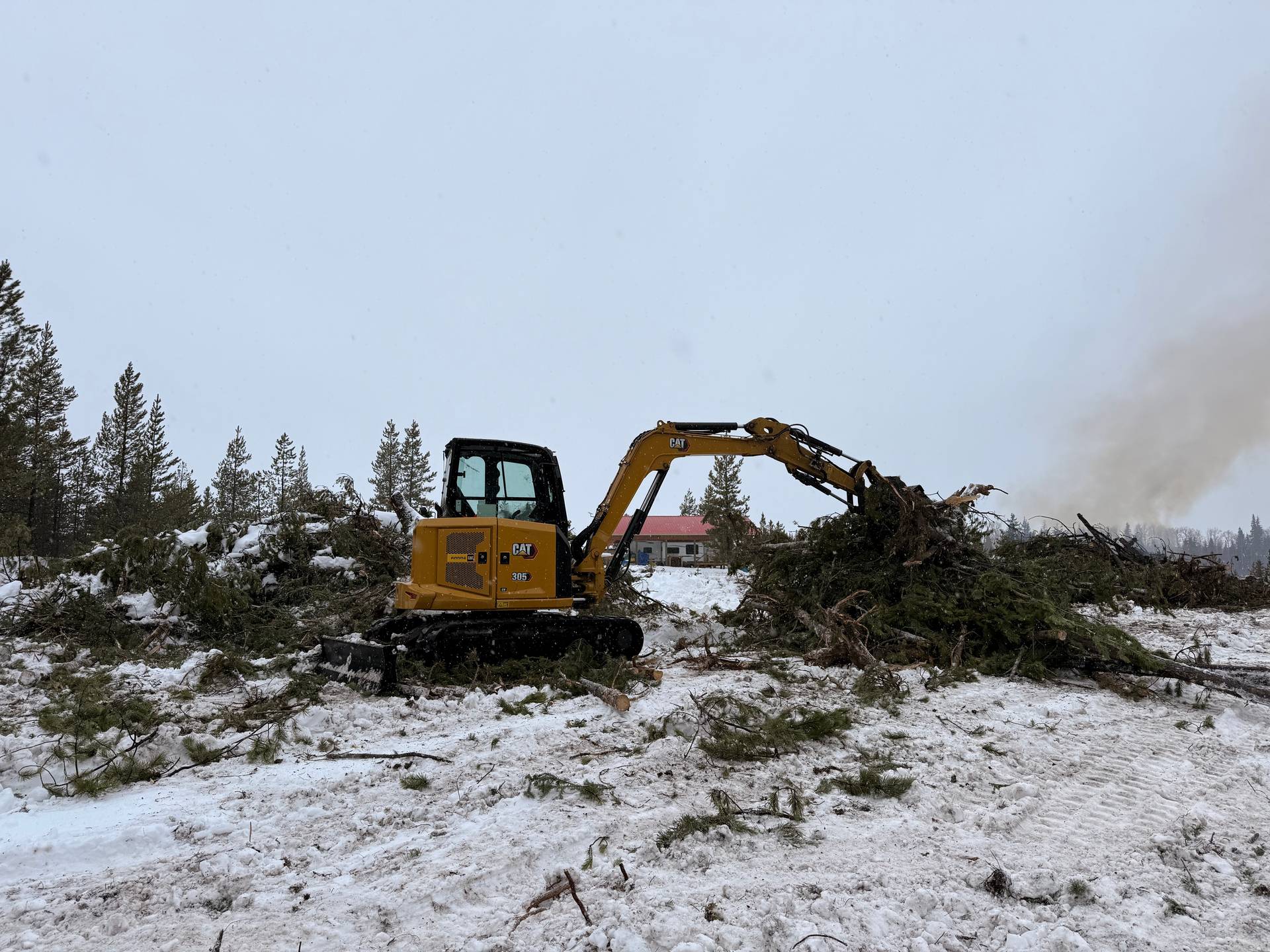 CAT 305 excavator stacking trees during winter land clearing in the Cariboo