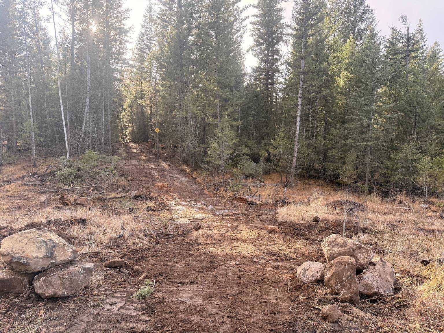 Cleared and graded recreational trail after brush removal