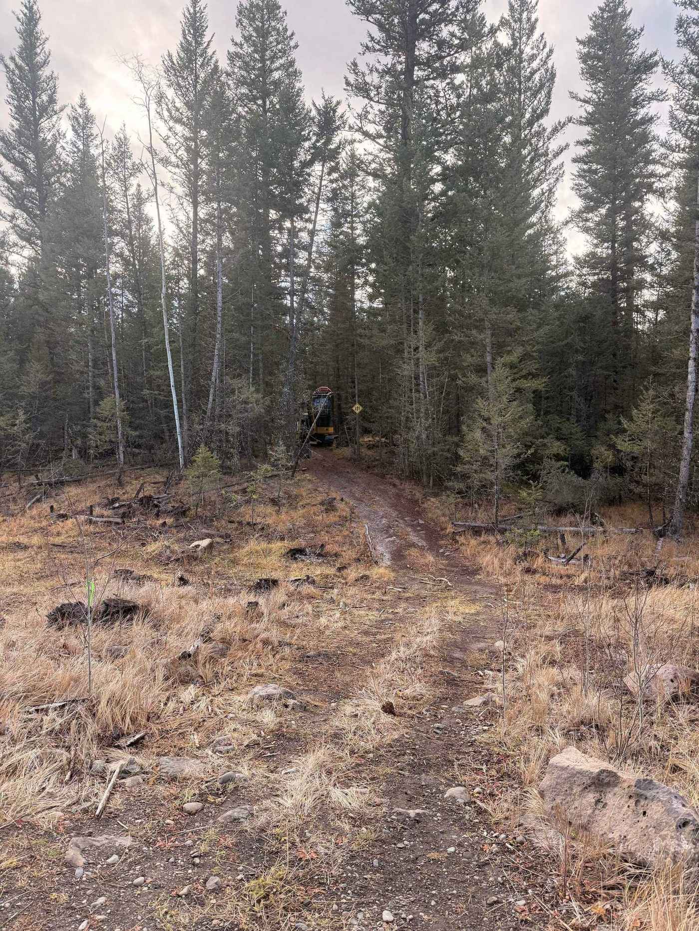 Rough trail before clearing with excavator working in the timber