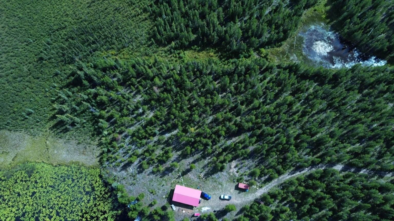 Aerial view of treed property before land clearing near 100 Mile House