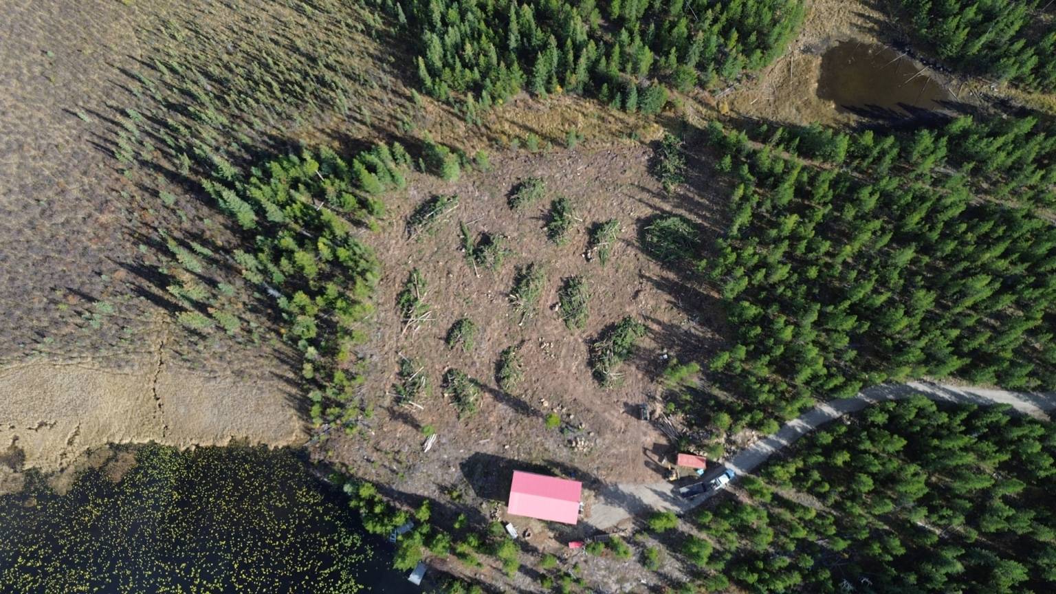 Drone shot of completed land clearing and access road in the Cariboo