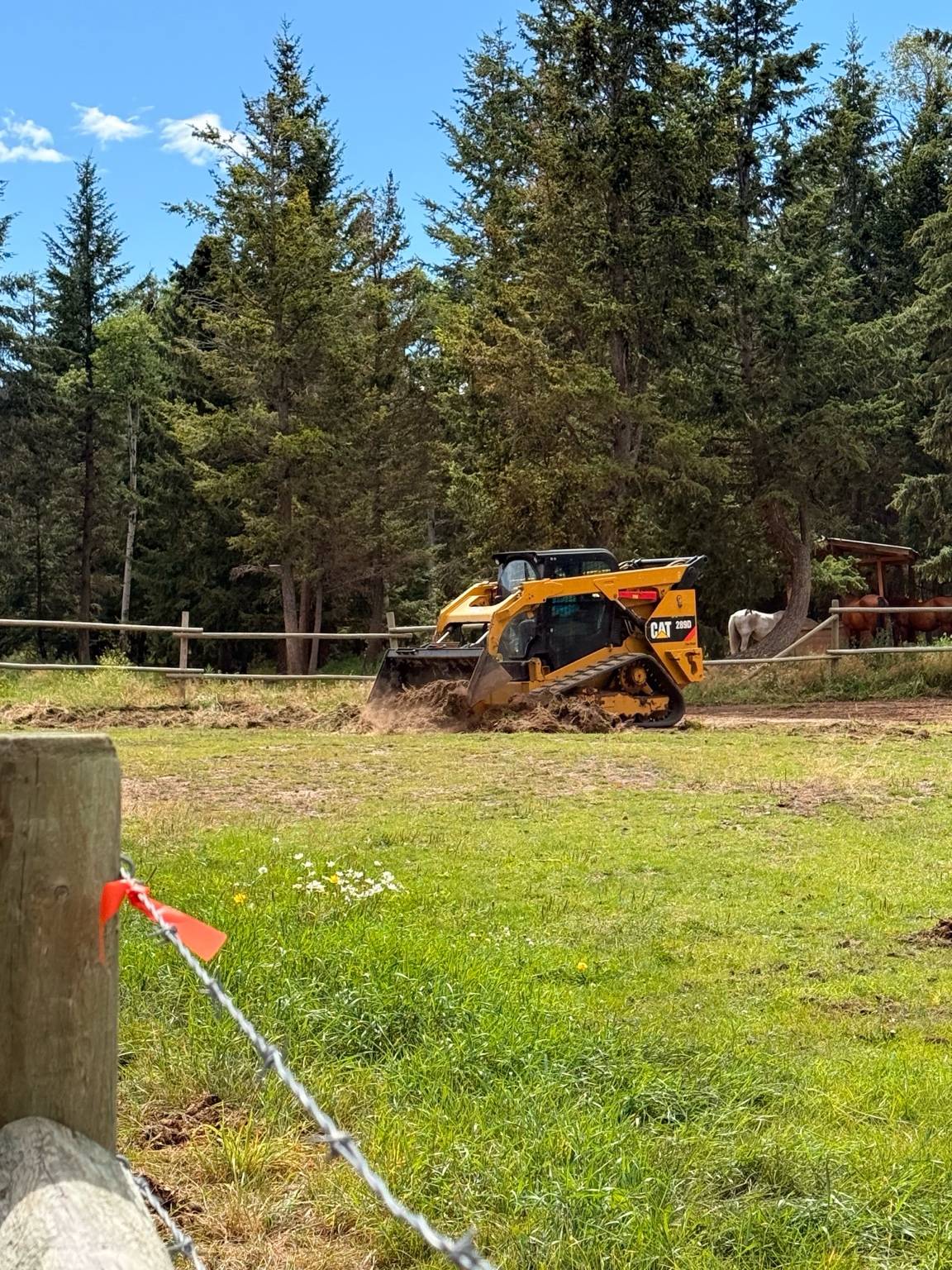CAT 289D high-flotation track loader doing site work